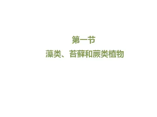 人教版七年级上册生物.1藻类、苔藓和蕨类植物课件