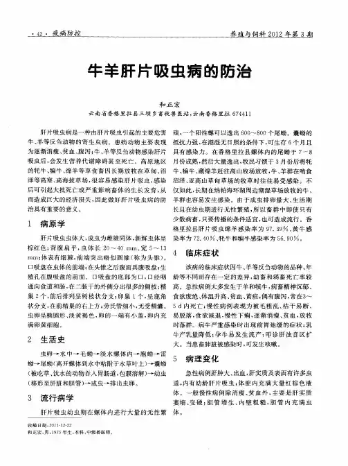 牛羊肝片吸虫病的防治