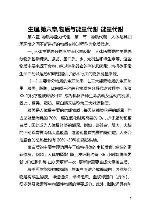 生理,第六章,物质与能量代谢 能量代谢