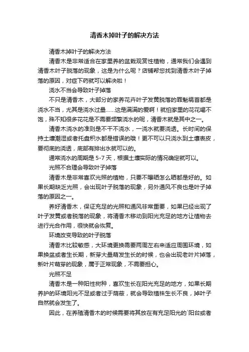 清香木掉叶子的解决方法