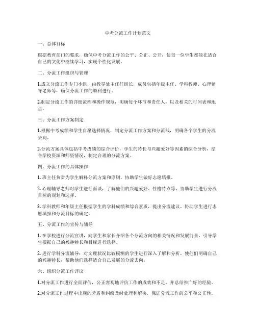 中考分流工作计划范文