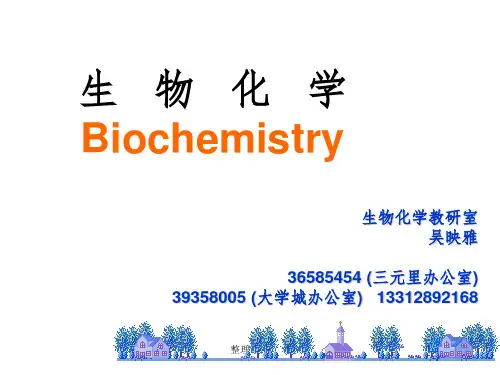 《生物化学》PPT课件