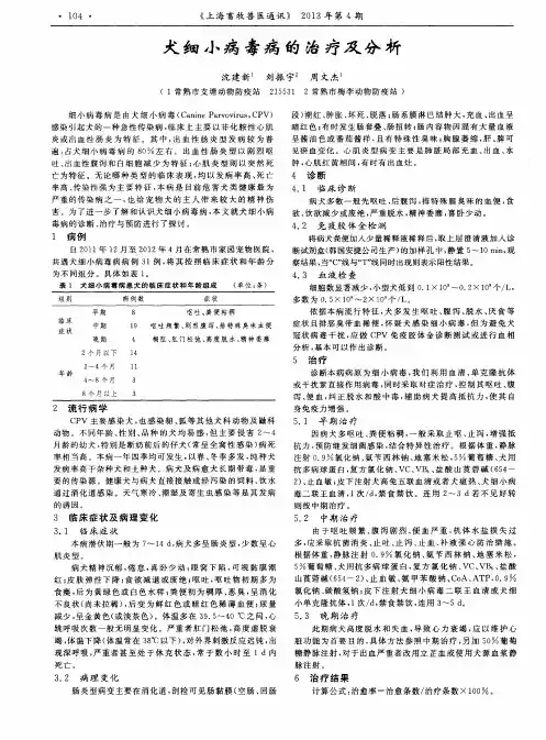 犬细小病毒病的治疗及分析