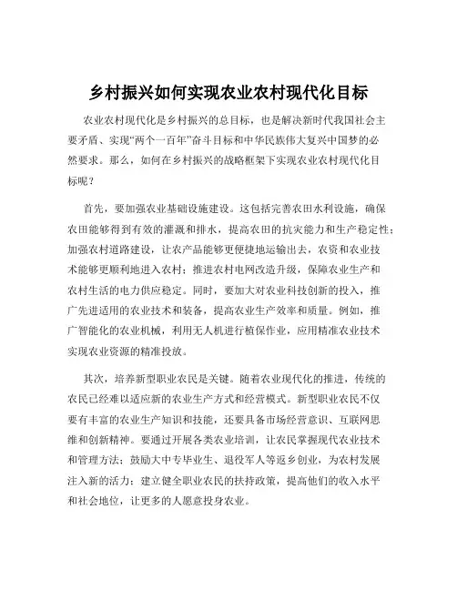 乡村振兴如何实现农业农村现代化目标
