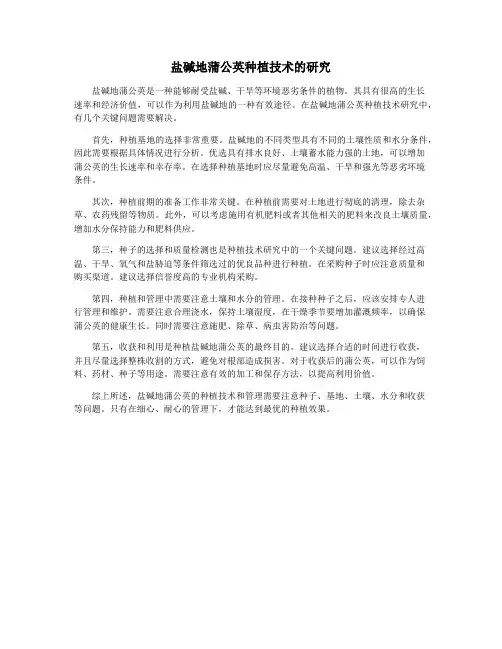 盐碱地蒲公英种植技术的研究