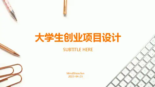 大学生创业项目设计PPT
