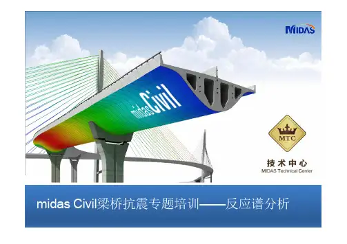 梁桥抗震——反应谱 [兼容模式]Midas公司最新培训资料