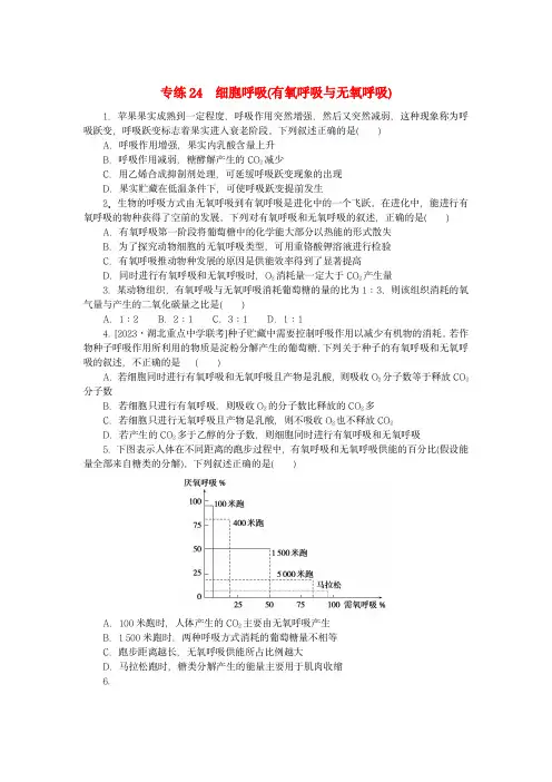 新高考2024版高考生物一轮复习：细胞呼吸(有氧呼吸与无氧呼吸)