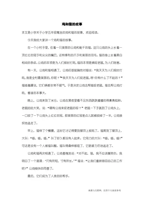 小学五年级寓言：鸡和猫的故事