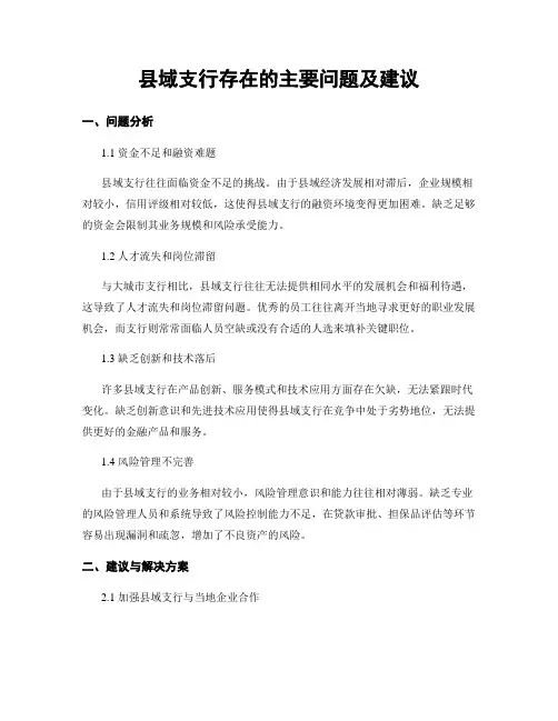 县域支行存在的主要问题及建议