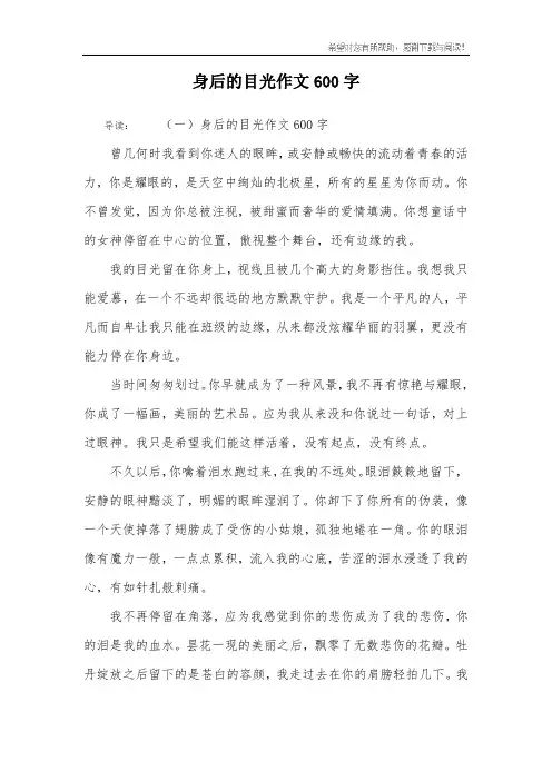 身后的目光作文600字