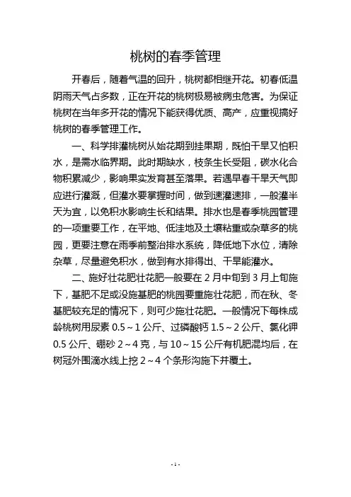 桃树的春季管理