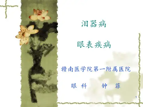 泪器病 六 眼表疾病ppt课件