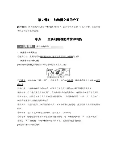 2023年高考生物一轮复习(新人教新高考) 第2单元 第2课时 细胞器之间的分工