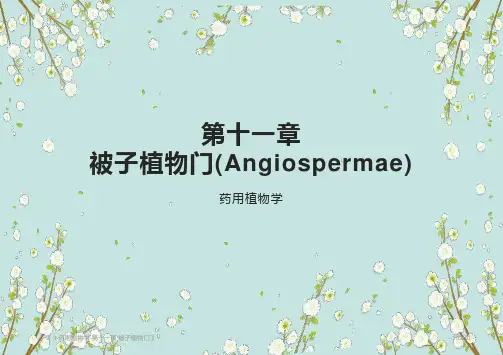3-药用植物学-第十一章 被子植物门(药用植物学人民卫生出版社第7版)