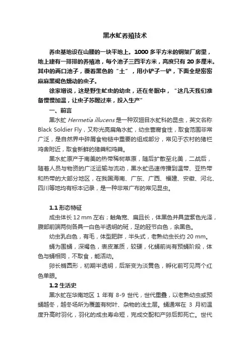 黑水虻养殖技术