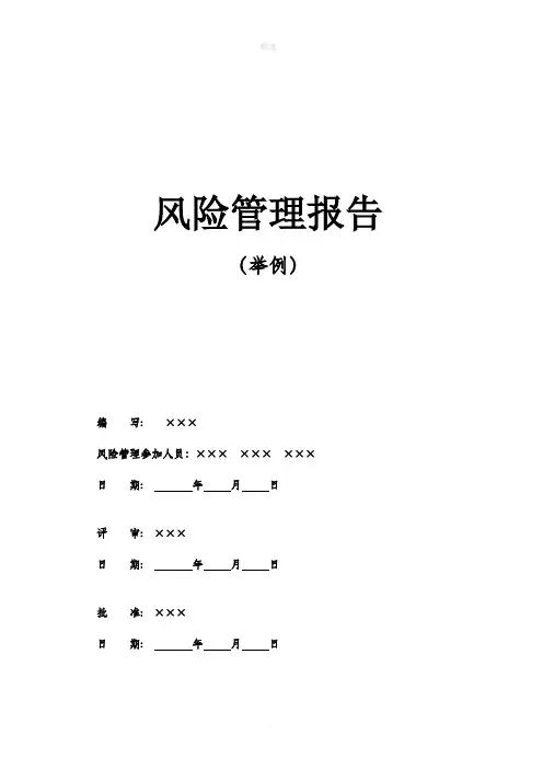 风险管理报告模板(标准)汇总