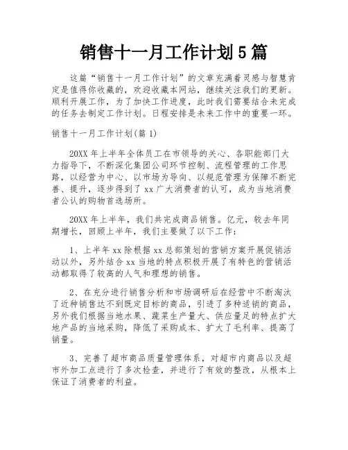 销售十一月工作计划5篇