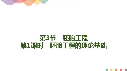 (新教材)高中生物选修3精品课件：2-3-1-胚胎工程的理论基础人教版