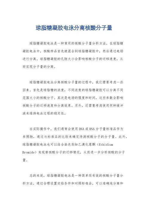 琼脂糖凝胶电泳分离核酸分子量