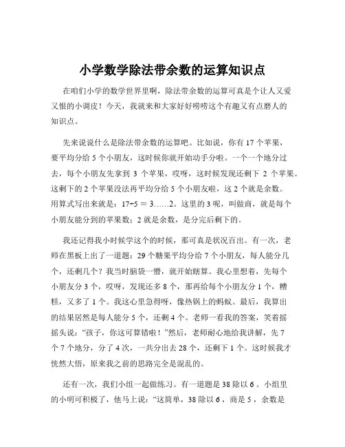 小学数学除法带余数的运算知识点