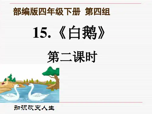 人教部编版语文四年级下册15《白鹅》说课课件