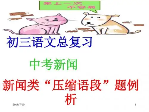 中考新闻阅读专题复习