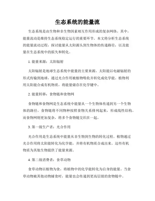 生态系统的能量流
