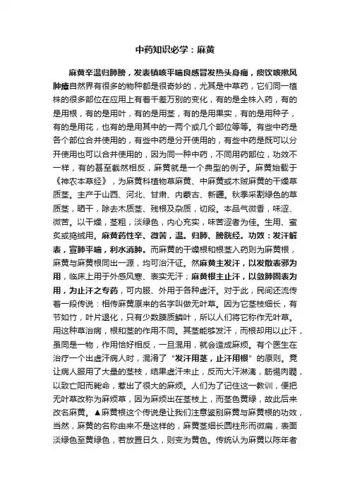 中药知识必学：麻黄