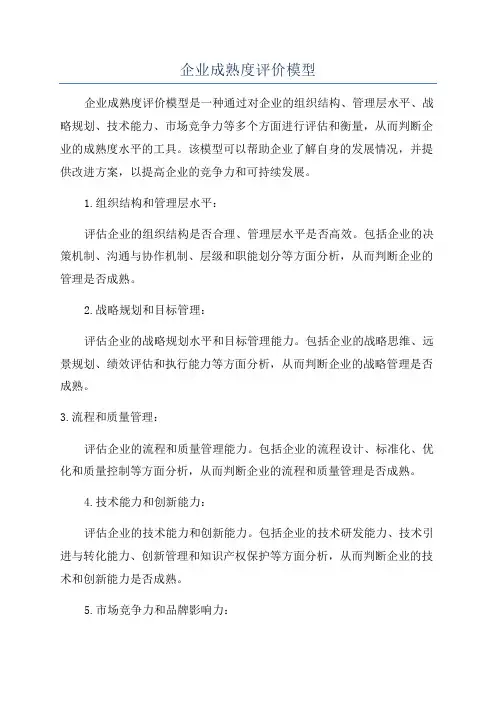 企业成熟度评价模型