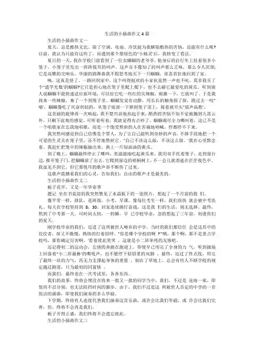 生活的小插曲作文4篇
