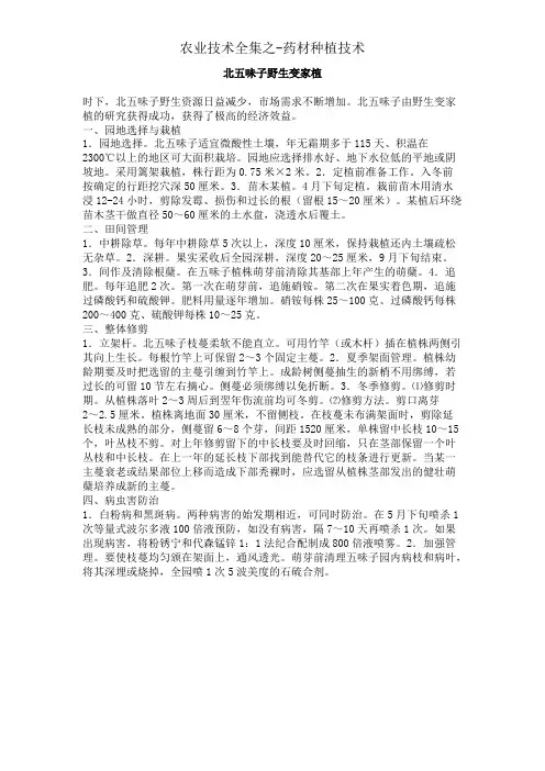 药材种植北五味子的种植及栽培整体方案