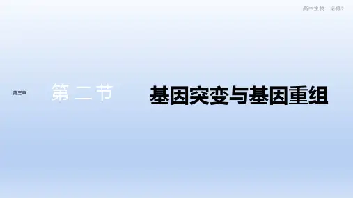 新教材-高中生物学-配套江苏版教材-第三章 第二节 基因突变和基因重组