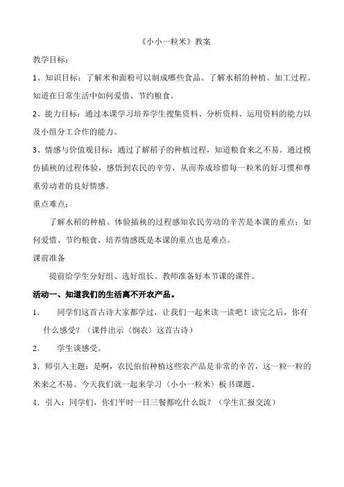 小小一粒米教案