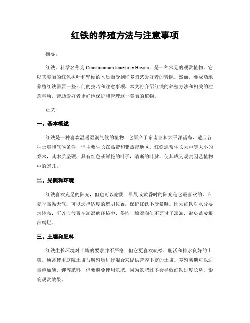 红铁的养殖方法与注意事项