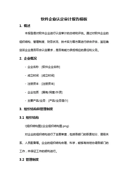 软件企业认定审计报告模板