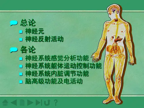 神经生理-精品医学课件