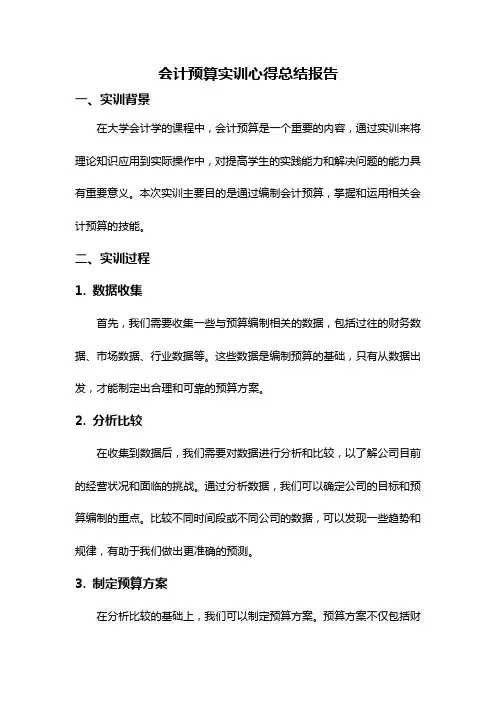 会计预算实训心得总结报告