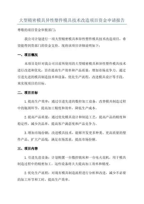 大型精密模具异性塑件模具技术改造项目资金申请报告