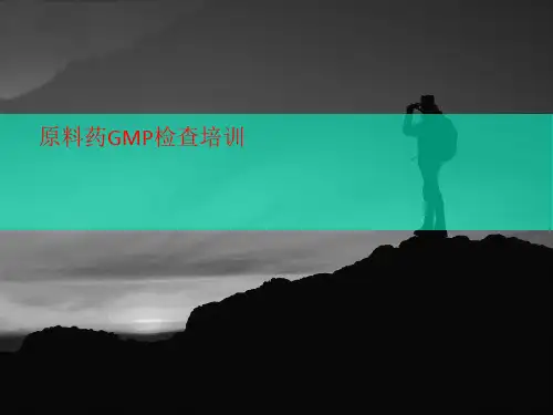 原料药GMP检查培训-讲义