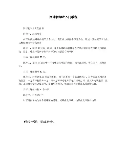 网球初学者入门教程