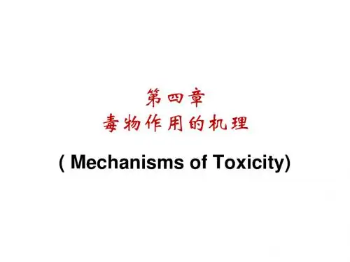 食品毒理学 第四章 毒性作用机理 PPT课件