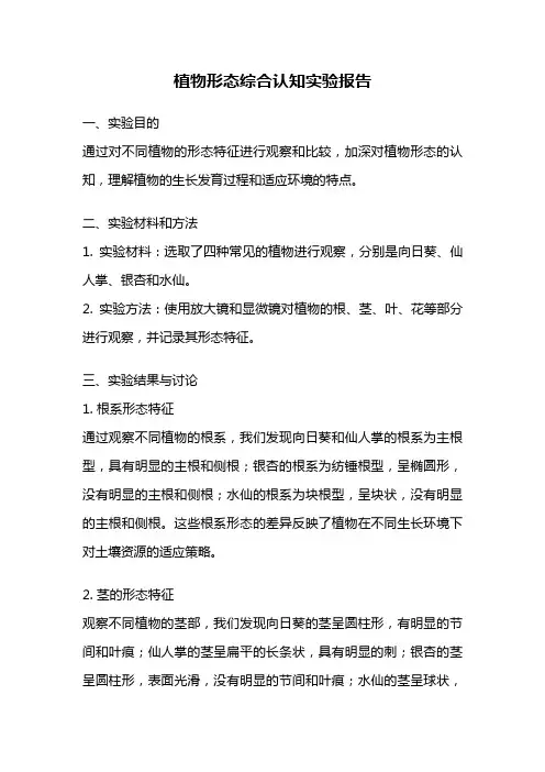 植物形态综合认知实验报告