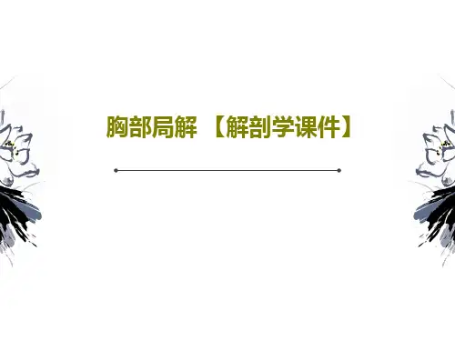胸部局解 【解剖学课件】共25页文档