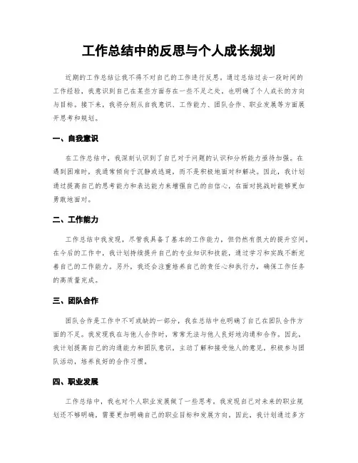 工作总结中的反思与个人成长规划