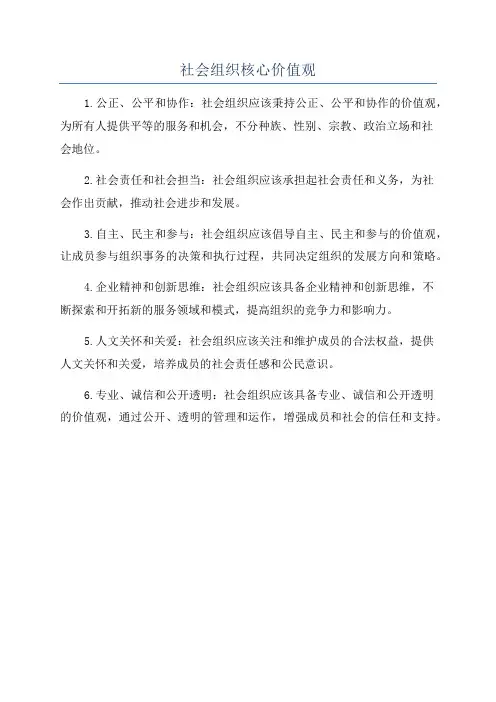 社会组织核心价值观