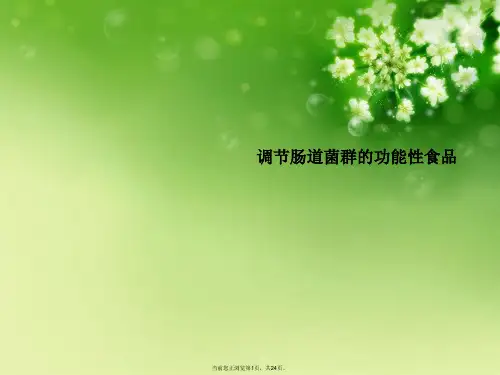 调节肠道菌群的功能性食品