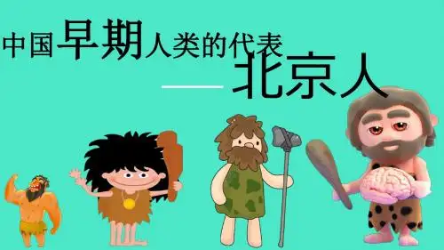 部编人教版七年级历史上册第1课《中国早期人类的代表——北京人》精美课件