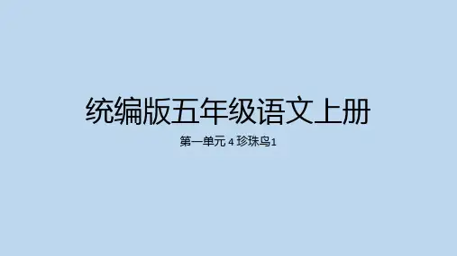  4 珍珠鸟(课件) 语文五年级上册 