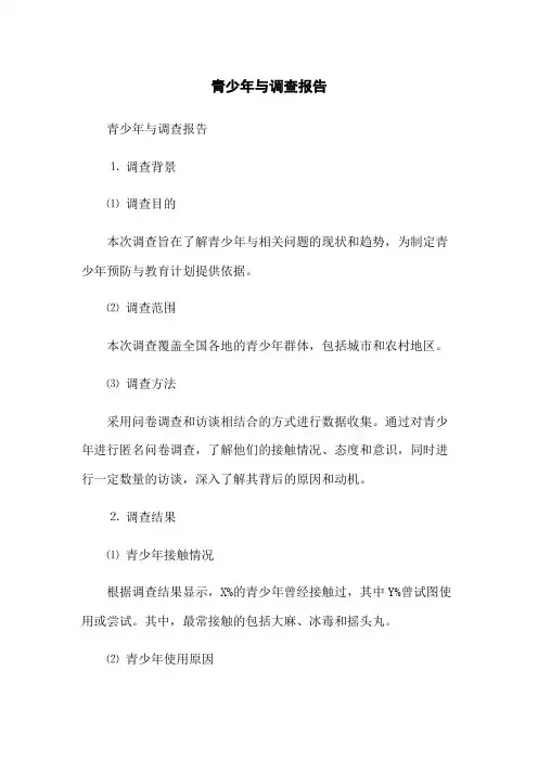 青少年与毒品调查报告